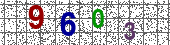 자동입력방지